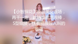 【小智探花】极品美女返场，再干一炮，跪地吸屌活很棒，S型细腰，扶着屁股后入叫的很骚