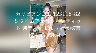 カリビアンコム 123118-825 タイムファックバンディット 時間よ止まれ ～社長秘書編～ 佐々木ゆき