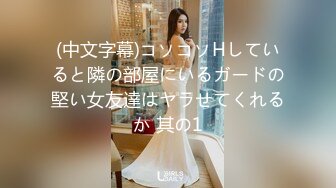 (中文字幕)コソコソHしていると隣の部屋にいるガードの堅い女友達はヤラせてくれるか 其の1