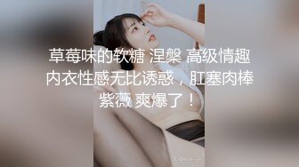 草莓味的软糖 涅槃 高级情趣内衣性感无比诱惑，肛塞肉棒紫薇 爽爆了！