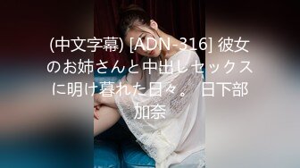 (中文字幕) [ADN-316] 彼女のお姉さんと中出しセックスに明け暮れた日々。 日下部加奈