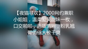 【夜猫寻欢】2000网约兼职小姐姐，温柔爱笑甜妹一枚，口交啪啪，画质清晰，粉乳翘臀俏佳人被干爽