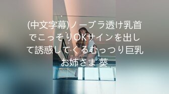 (中文字幕)ノーブラ透け乳首でこっそりOKサインを出して誘惑してくるむっつり巨乳お姉さま 葵