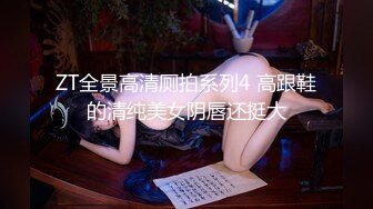 ZT全景高清厕拍系列4 高跟鞋的清纯美女阴唇还挺大