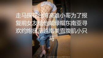 走马探花台湾高雄小哥为了报复前女友给他戴绿帽东南亚寻欢约炮极品越南美眉腹肌小只马