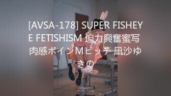 [AVSA-178] SUPER FISHEYE FETISHISM 迫力興奮蜜写 肉感ボインMビッチ 凪沙ゆきの