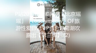 P站20万粉华裔网黄「北京瑶瑶」「Lonelymeow」OF旅游性爱日记 3P百合爆菊潮吹露出【第三弹】 (2)